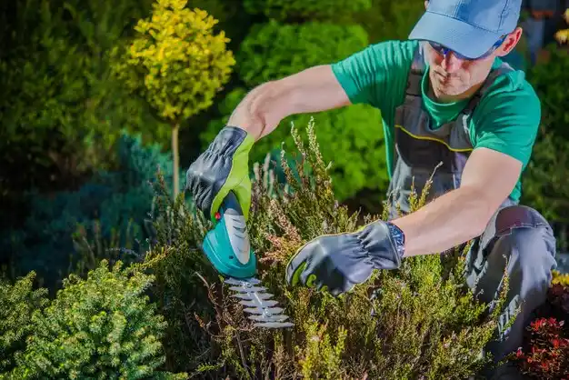 landscaping services Vermilion